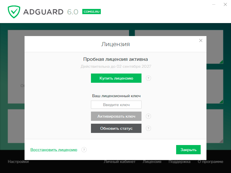 adguard 6.2 ключ